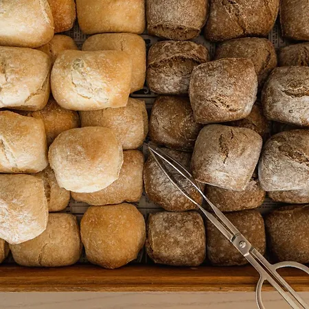 Palmares House - Adults Friendly Lagos