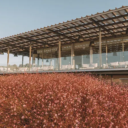 Palmares House - Adults Friendly 5* Lagos